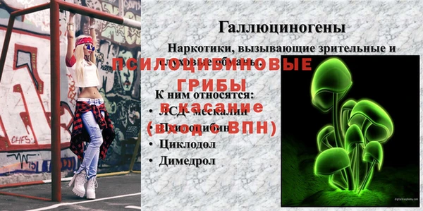 гашик Верхнеуральск