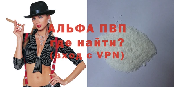 гашик Вяземский