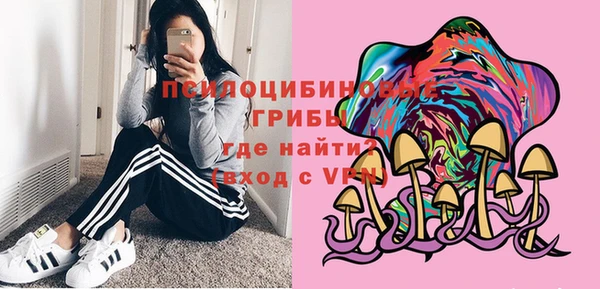 гашик Верхнеуральск
