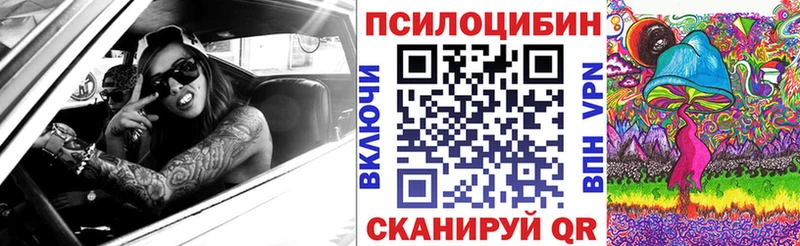 где можно купить наркотик  Елабуга  Галлюциногенные грибы Psilocybine cubensis 